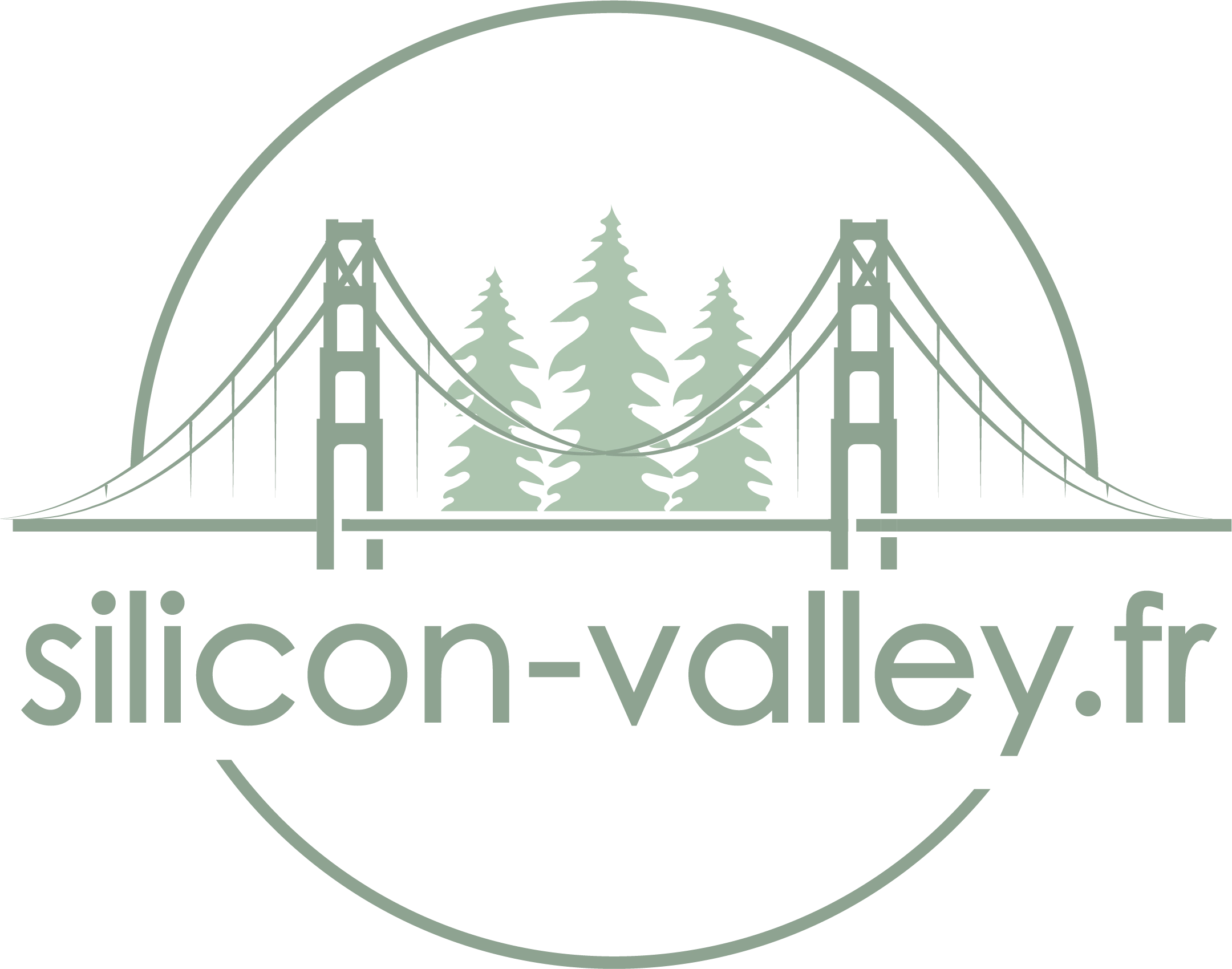 sillicon valley-logo